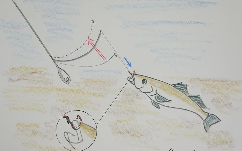 固定式てんびん 写真 イラストで見る 固定式天秤 てんびん の作用 説明 必要性 新潟 釣りの道具箱 うまい魚と釣りの旅