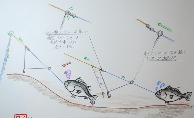 遊動式てんびん 写真 イラストで見る 作用 説明 必要性 遊動式 誘導式 どっちが正解 新潟 釣りの道具箱 うまい魚と釣りの旅
