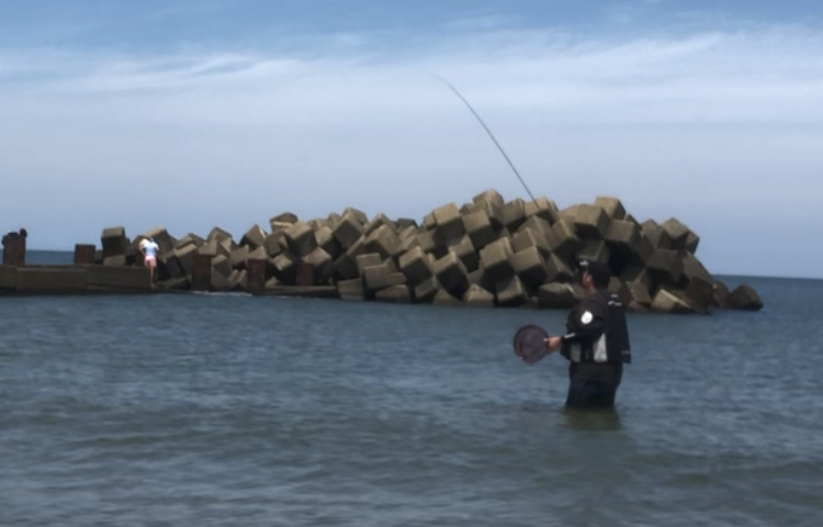 のべ竿でキス釣り 膝まで海に入って涼しく夏のキス釣りを満喫 新潟 釣りの道具箱 うまい魚と釣りの旅